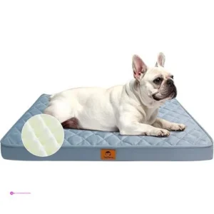 Joypetto Dog Beds Code U67lnsdf