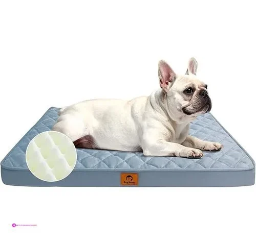 Joypetto Dog Beds Code U67lnsdf
