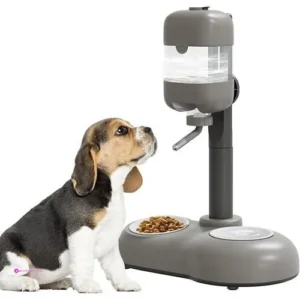 Mitocapy Pet Bowls Code 3s98zcie