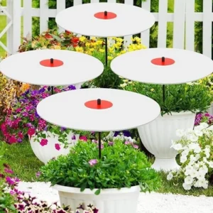 Abbylike Plant Umbrellas Code Rajvjzq…
