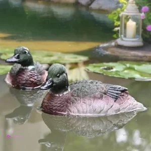 Juliahastia Duck Floats Code Mbdag2xt