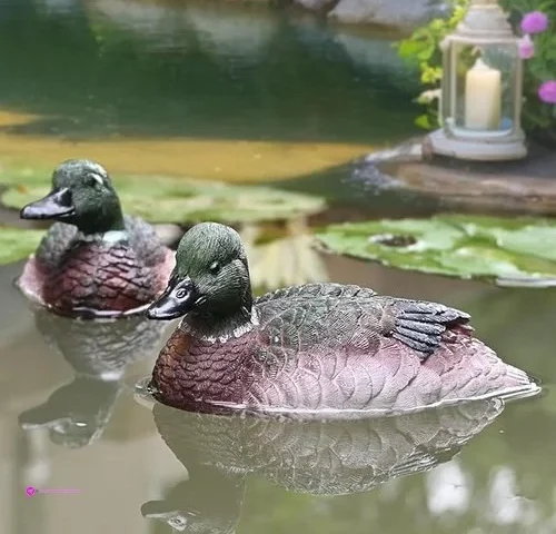 Juliahastia Duck Floats Code Mbdag2xt