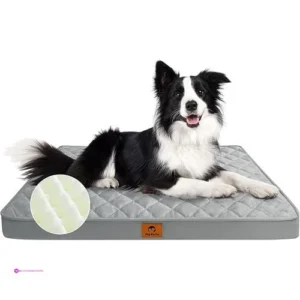 Joypetto Dog Beds Code U67lnsdf