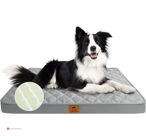 Joypetto Dog Beds Code U67lnsdf