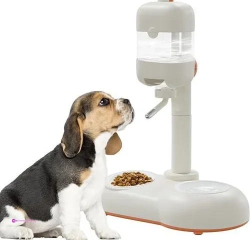 Reg Mitocapy Pet Food Bowls Code