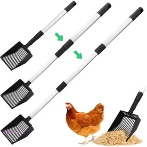 Mity Rain Chicken Scoops Code L5igyqi…