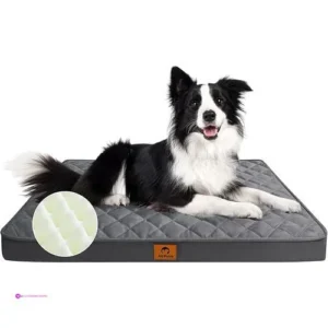 Reg Joypetto Orthopedic Dog Beds Code