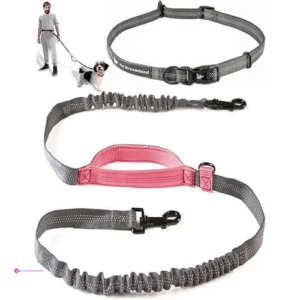 Exquisite Hands-free Leashes Code Pet…