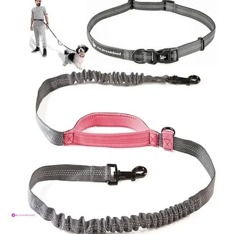 Exquisite Hands-free Leashes Code Pet…