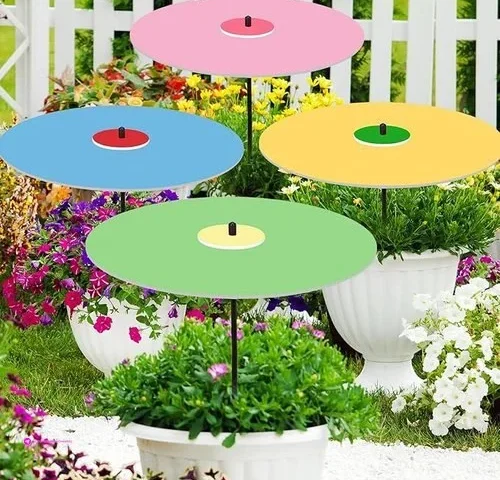 Abbylike Plant Umbrellas Code Rajvjzq…