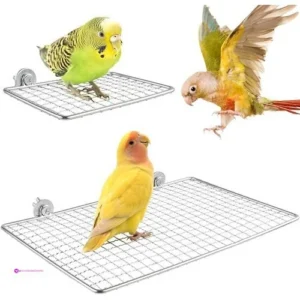Dbness Bird Perches Clip Coupon