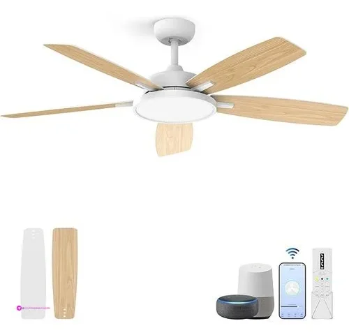 Smart Ceiling Fans With Lights Clip