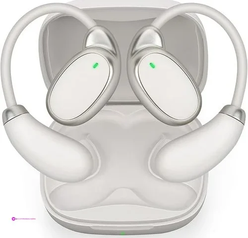 Translation Earbuds Clip Coupon