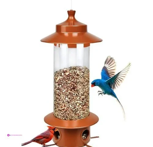 Squirrel Proof Bird Feeders Code Lyke…