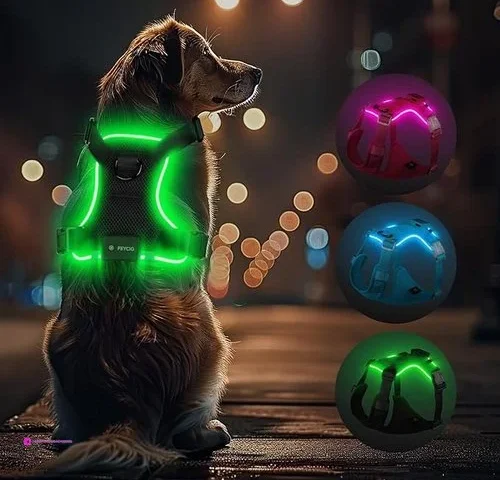 Light Dog Harnesses Clip Coupon