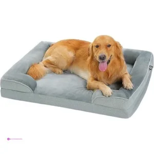Pawz Dog Beds Clip Coupon