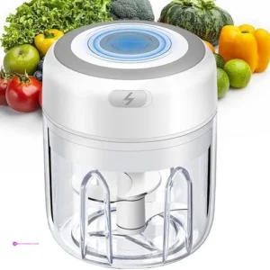 Electric Food Choppers Clip Coupon
