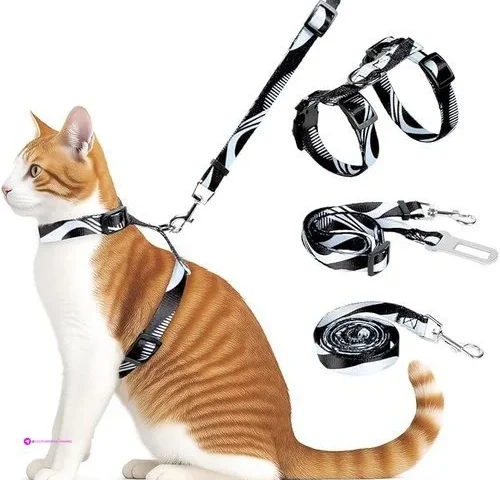 Cat Harnesses Off Use Code 4b2xb99h