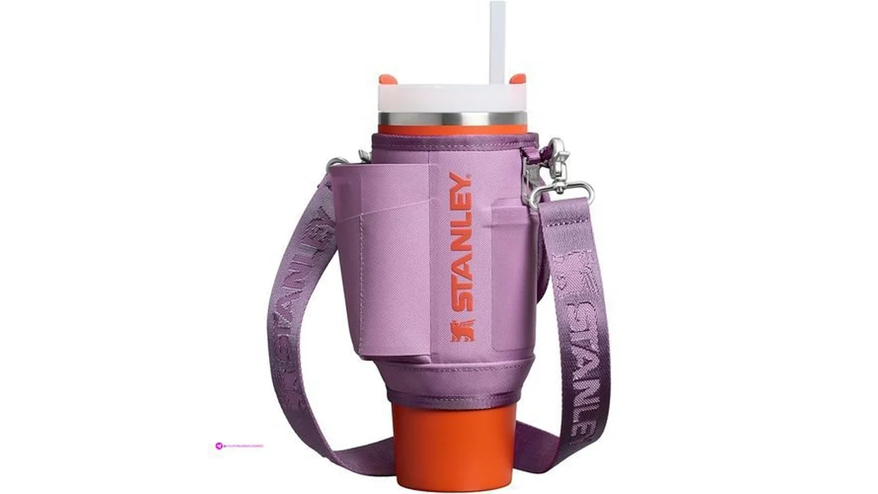 Stanley All Day Quencher Carry All For Tumbler With Handlehttps Www Amazon