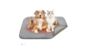 Homimp Dog Training Padscode F26xfjhbhttps Www Amazon Com B0dg53f1cz Tag 1114…