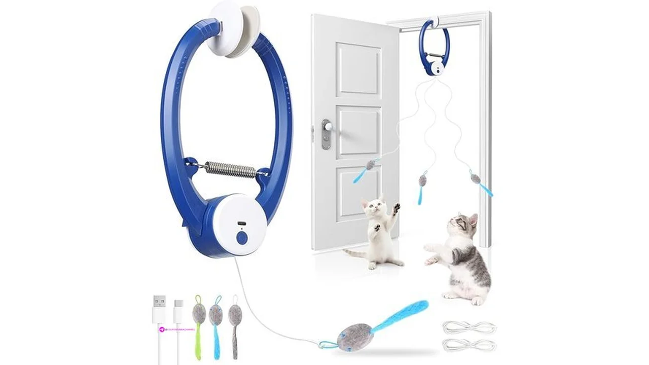 Wortade Cat Toyscode S6ua8oprhttps Www Amazon Com B0fjm1rwxm Tag 1114131-20 P…