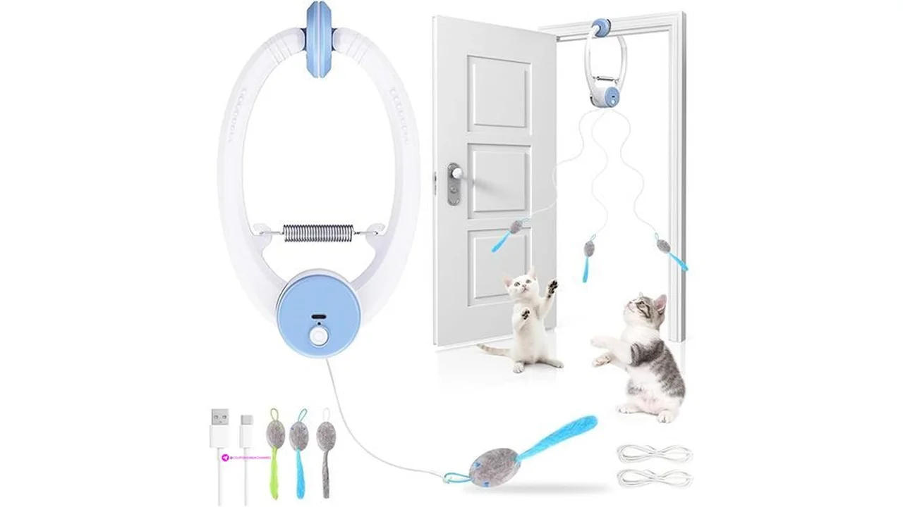 Wortade Cat Toyscode S6ua8oprhttps Www Amazon Com B0fjm2wlj3 Tag 1114131-20 P…