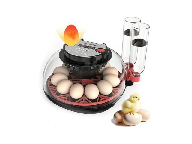 12 Egg Incubator For Hatching Eggs Automatic Turner With Digital
