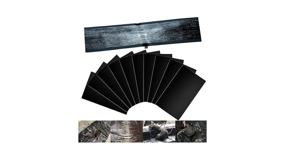 Amazon deal: Whjiachu 10 Pack Sticky Mouse Traps - Extra Large.