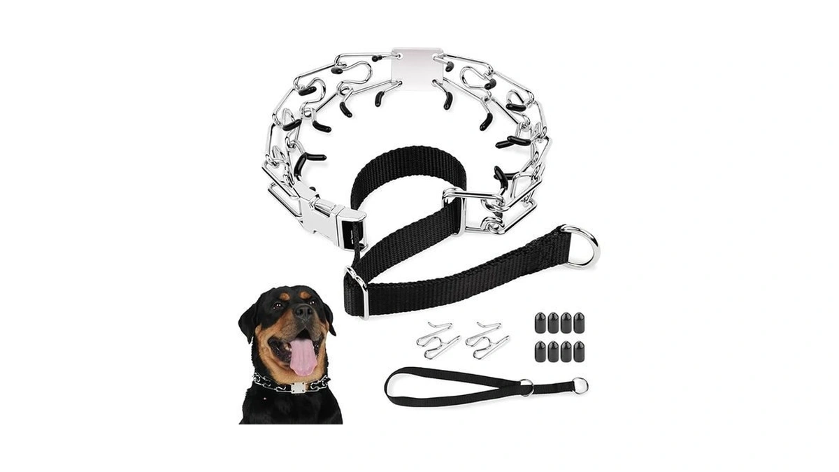 Amazon deal: Mayerzon Prong Collar For Large Dogs Pitbull Germa