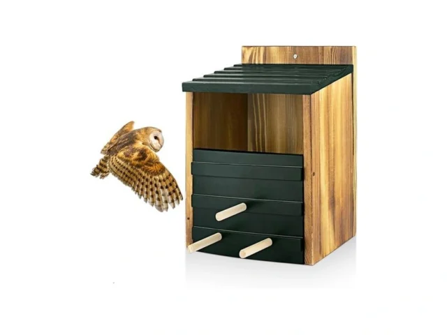 Wooden Owl Houses For Outdoors Screech Owl Nesting…