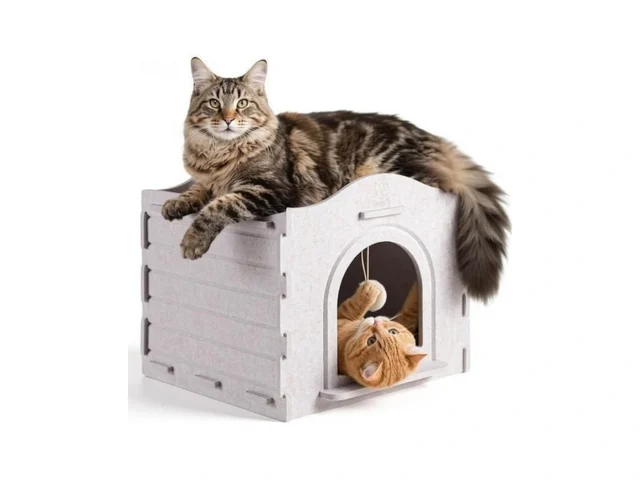 Apasiri Cat Beds For Indoor Cats Innovative…