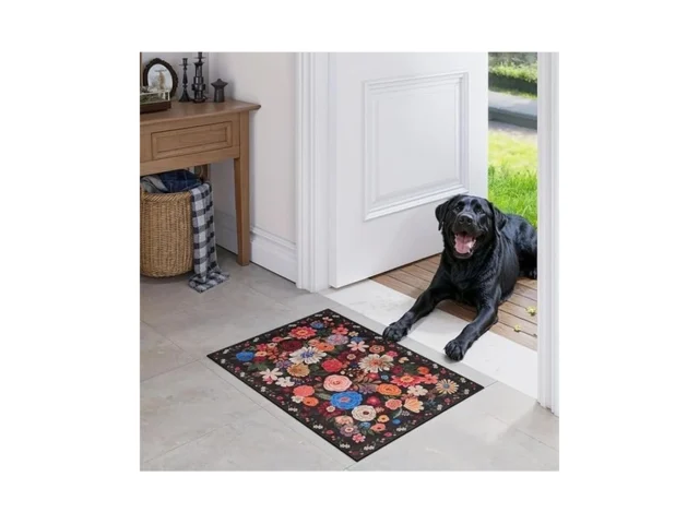 Area Rugs 24×17 Inch Home Decor Entry Rug Small…