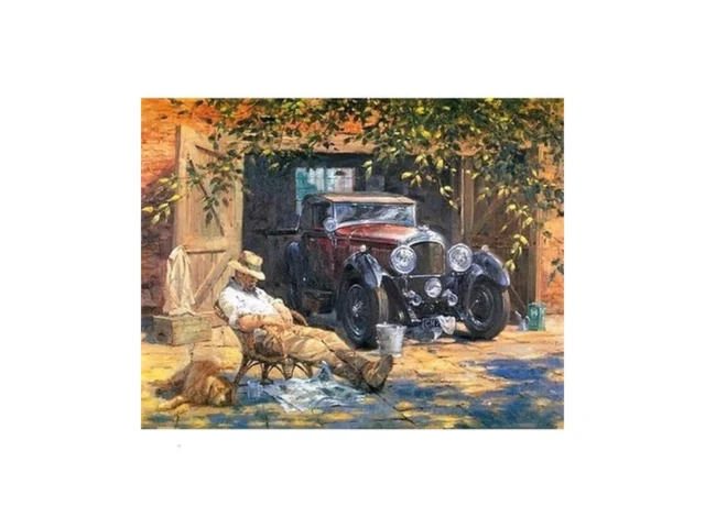Abeuty Paint By Numbers For Adults Beginner… Coupon