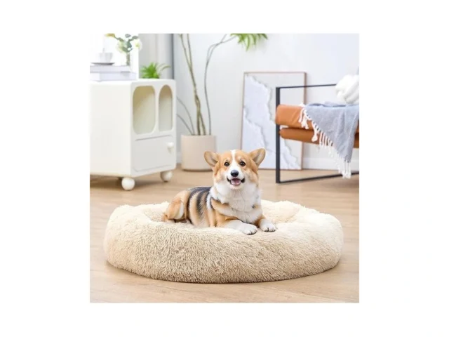 Loveclaw Donut Dog Bed Dog Beds Cat Bed Washable… Coupon
