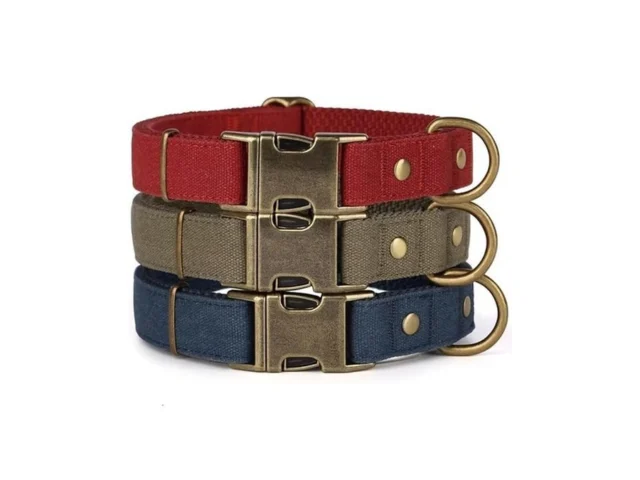 Pet Artist Dog Collars For Small Dogs Soft Padded… Code