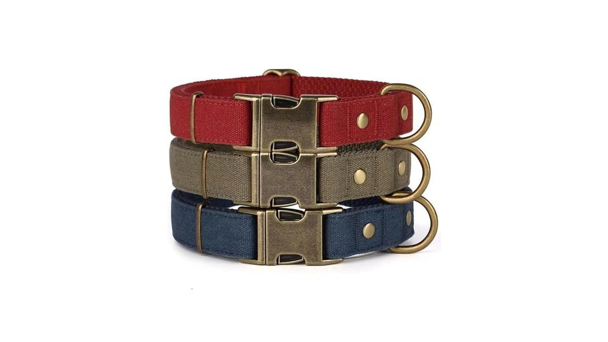 Amazon code: Pet Artist Dog Collars For Small Dogs So