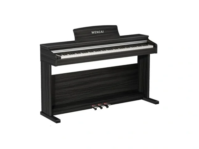 Wencai 88 Keys Digital Piano Hammer Action Weighted…