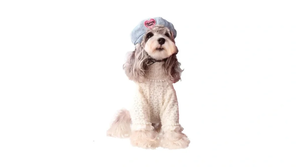 Amazon coupon: Luvmojo Dog Sweater For Medium To Large