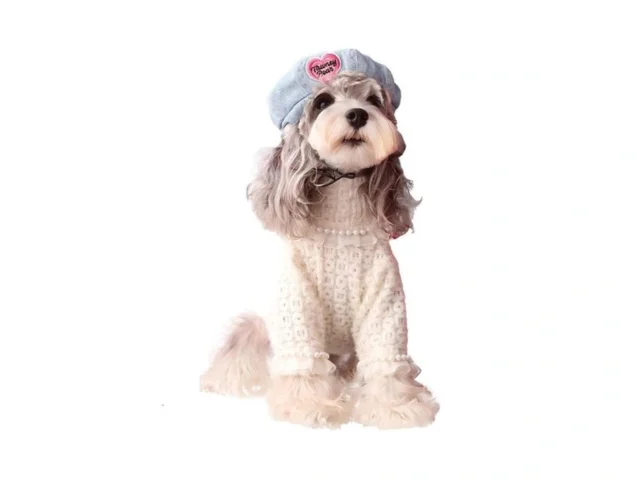 Luvmojo Dog Sweater For Medium To Large Dogs Girl… Coupon