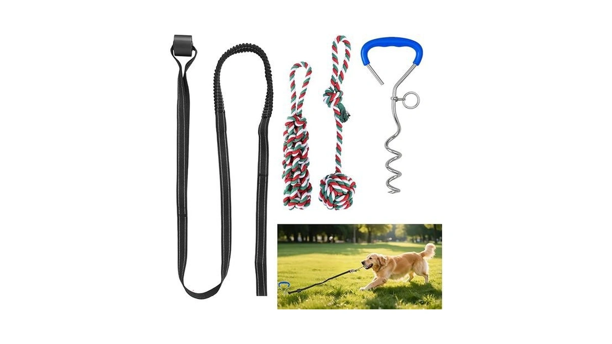 Amazon code: Bungee Tether Tug Outdoor Dog Toy With S
