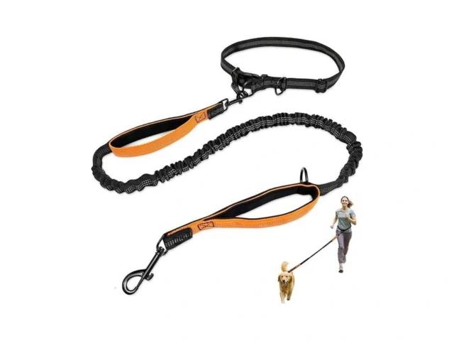 Joypetto Hands-free Dog Leash For Running Walking -… Code