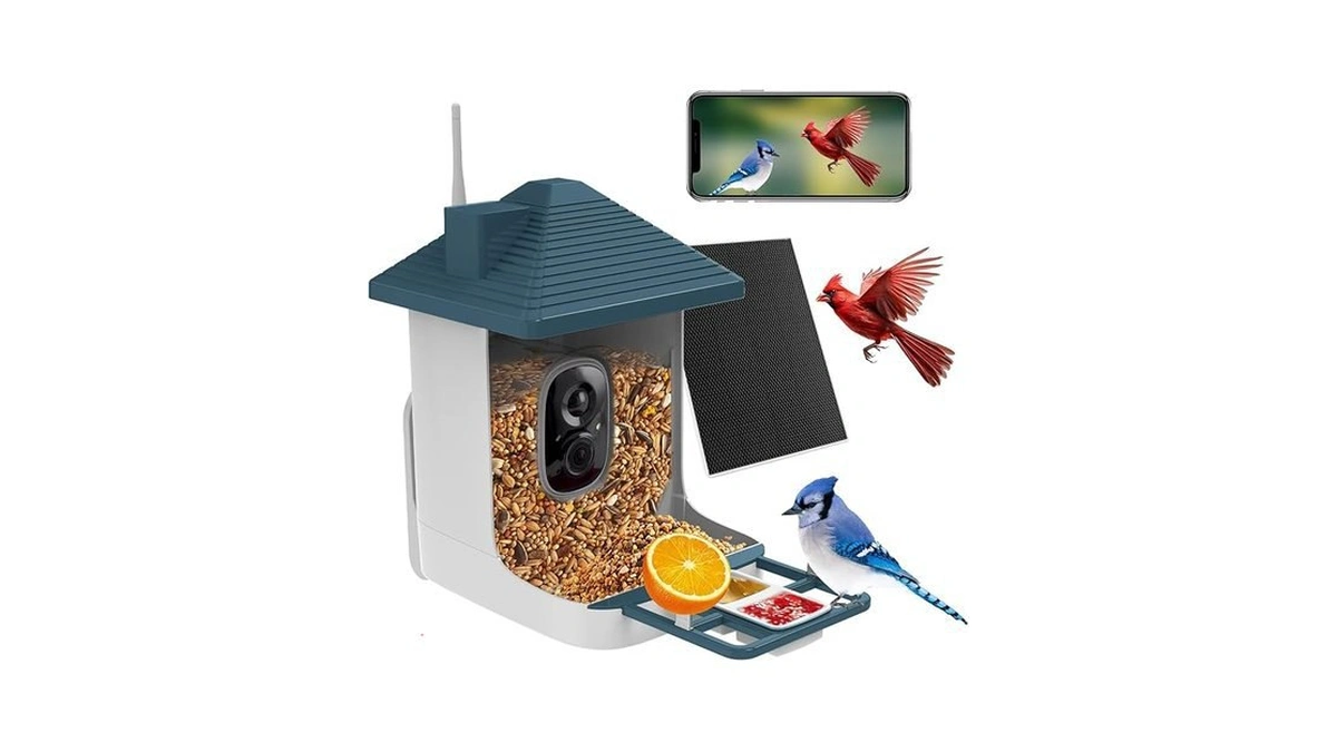 Amazon code: Smart Bird Feeder With Camera Ai Identif