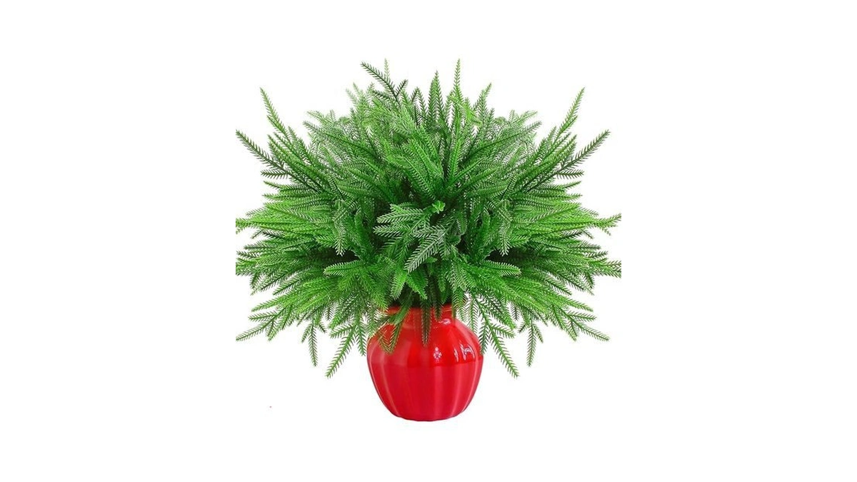 Amazon coupon: Bessny Christmas Norfolk Pine Branches -