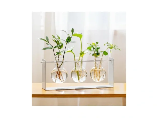Mudeela Metal Plant Propagation Station – Modern… Coupon