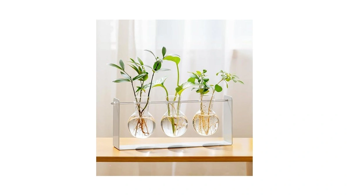 Amazon coupon: Mudeela Metal Plant Propagation Station