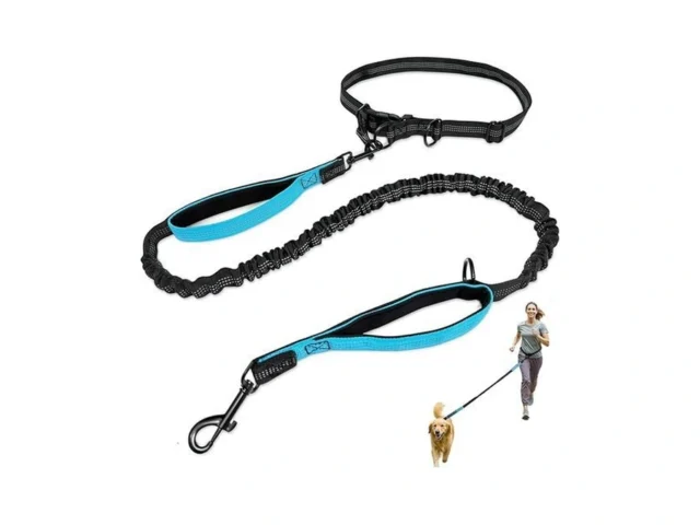 Joypetto Hands-free Dog Leash For Running Walking -… Code
