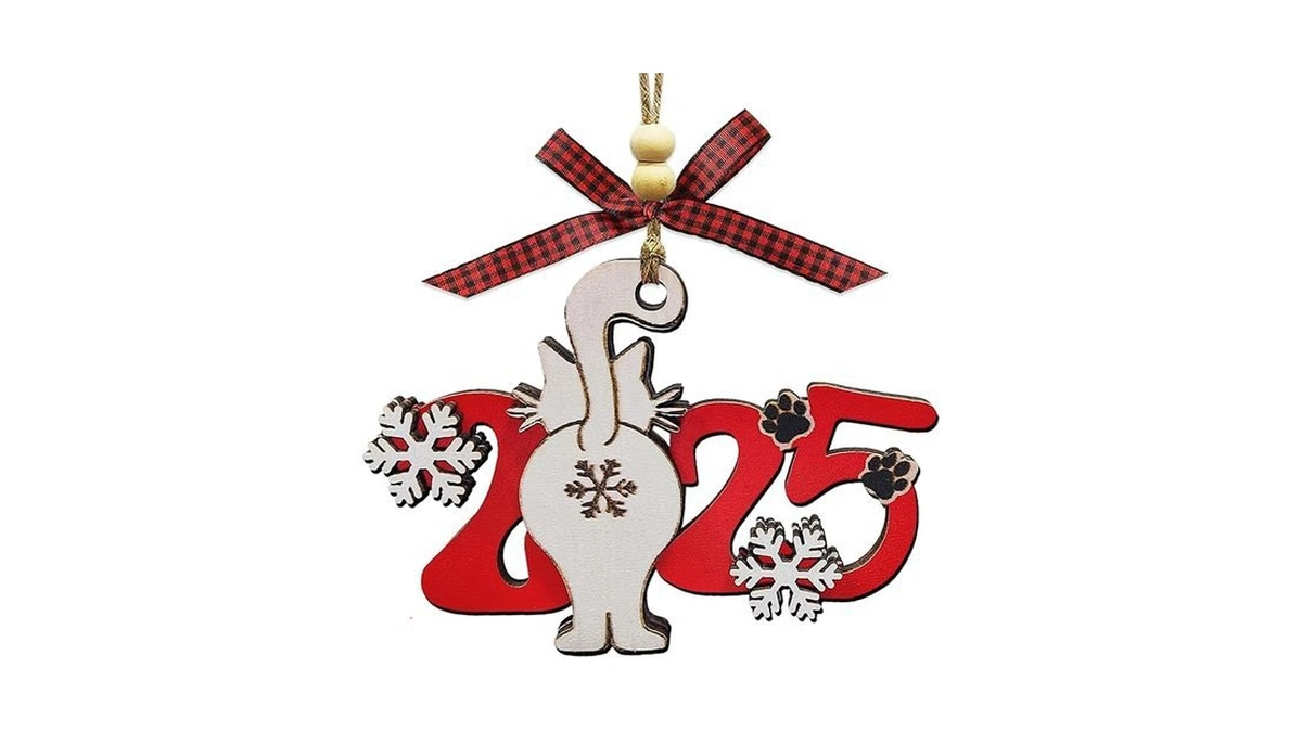 Amazon code: Cat Christmas Ornaments 2025 Funny Ornam