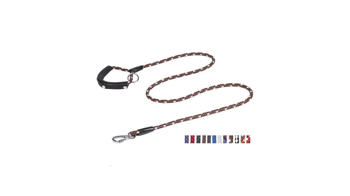 Amazon coupon: Ppeett 4 Ft 5 Ft 6 Ft Leather Dog Leash