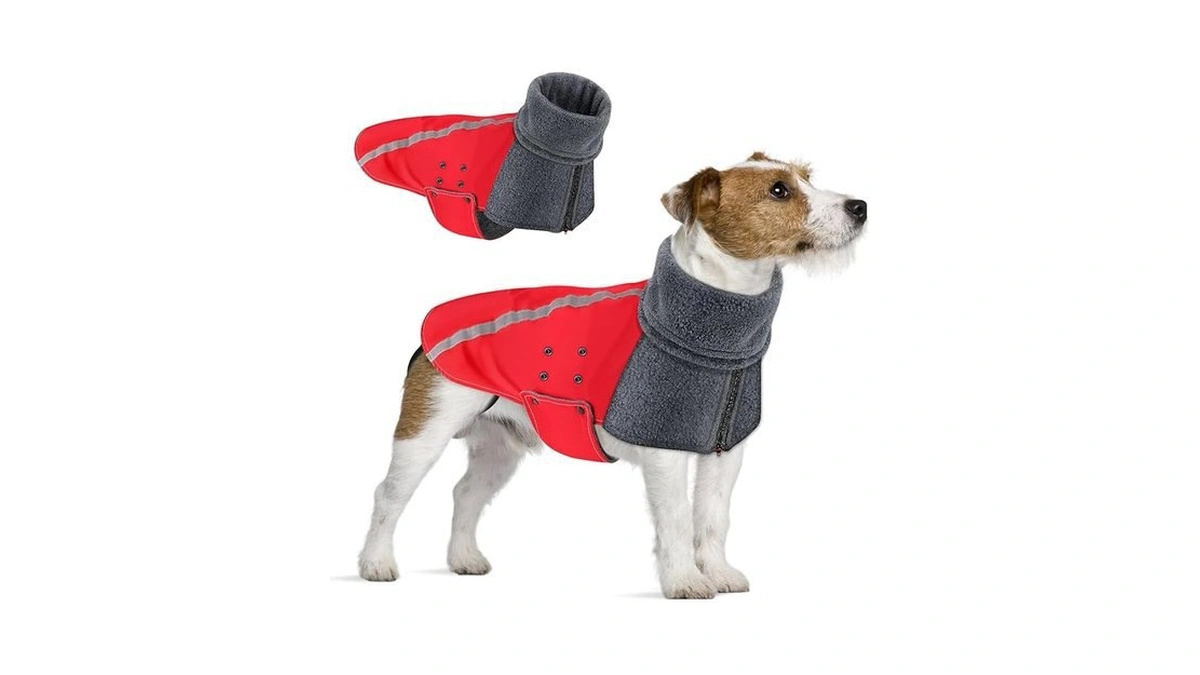 Amazon coupon: Slowton Winter Dog Coat Warm Polar Fleec
