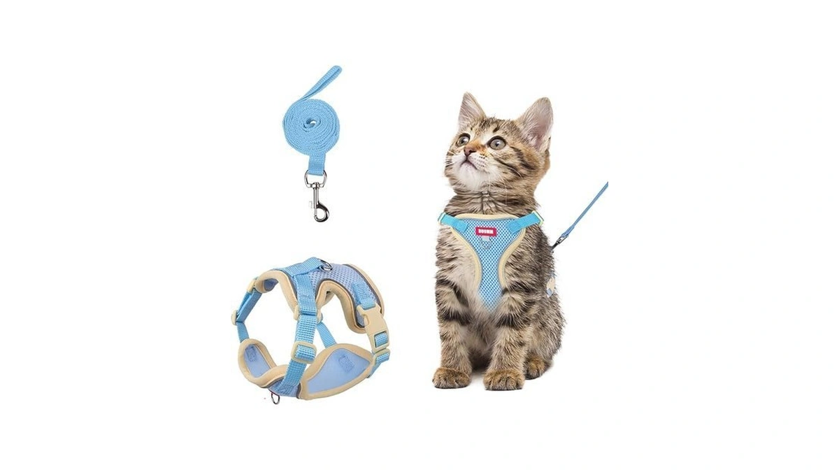 Amazon coupon: Wanheart Cat Harness And Leash Set Escap